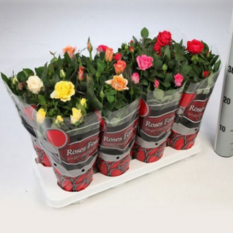 ������� 35/13