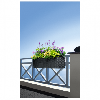 Lechuza Balconera COTTAGE