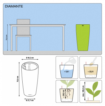Lechuza Diamante PREMIUM