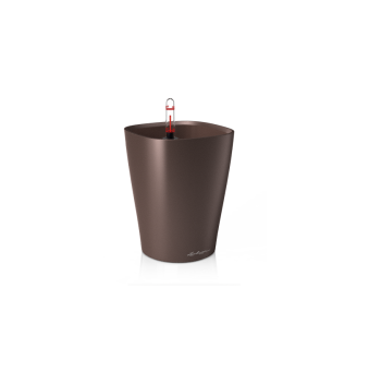 Lechuza Deltini PREMIUM