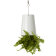 BOSKKE SKY PLANTER CERAMIC, MEDIUM �����