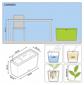 Lechuza Cararo PREMIUM