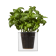 BOSKKE CUBE, LARGE