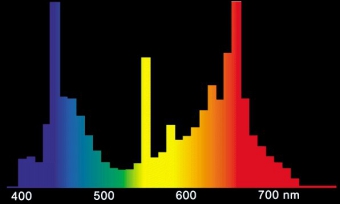 �������������� ��������� Sylvania Grolux T8