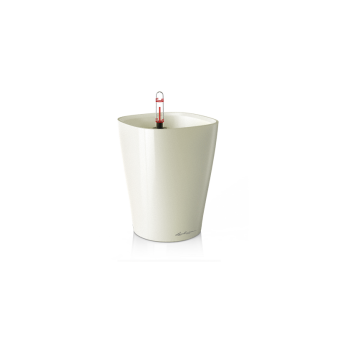 Lechuza Deltini PREMIUM