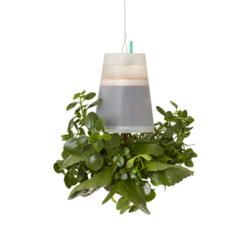 BOSKKE SKY PLANTER ����������, SMALL
