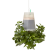 BOSKKE SKY PLANTER ����������, SMALL