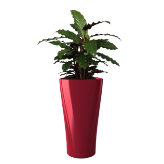 ������� ��������� + DELTA 30