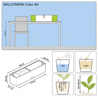 Lechuza Balconera COLOR