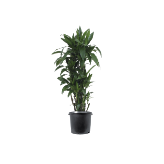 ����� ����� 140/32