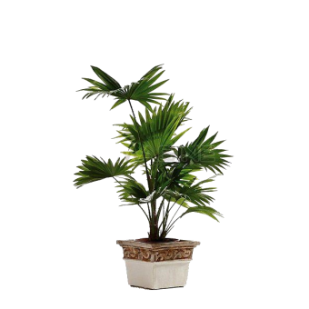 ��������� ������������ 60/14