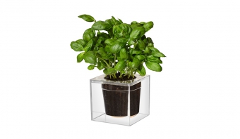 BOSKKE CUBE, SMALL