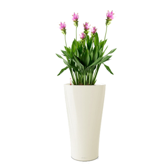 ������� + DELTA 30