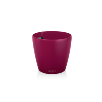 Lechuza Classico COLOR