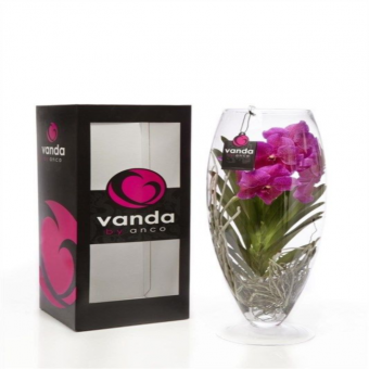 ������� ����� ���� � ������ �������