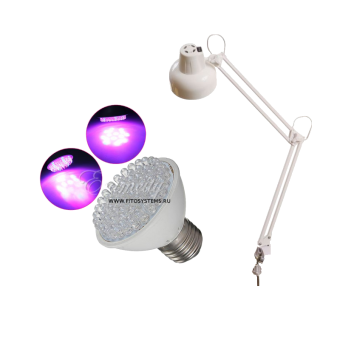 ������������ �������������� (LED)