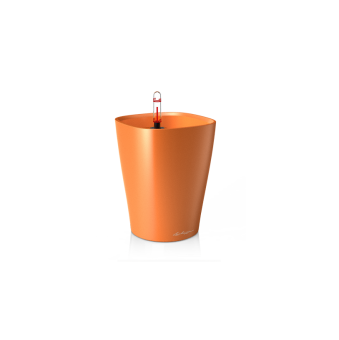 Lechuza Deltini PREMIUM