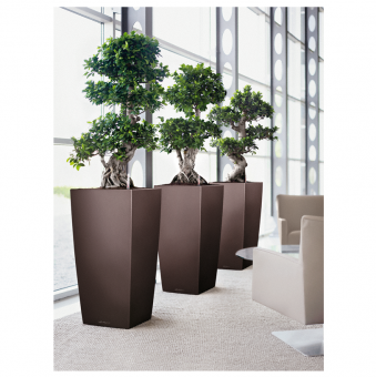 Lechuza Cubico PREMIUM
