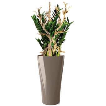 ������������ ������������ + DELTA 30