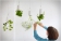 BOSKKE SKY PLANTER RECYCLED, MEDIUM �����