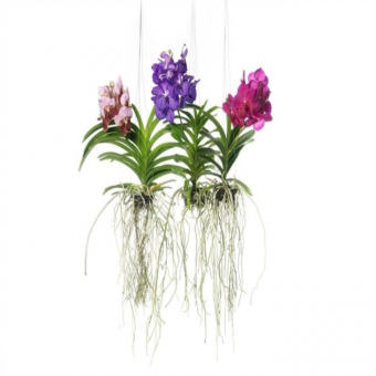 ������� ����� � ������������