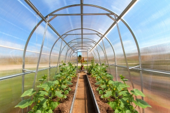 ���������� ��� ������ ������������