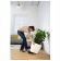 Lechuza Quadro LS PREMIUM
