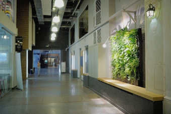 �������������� Sunlight ���� (230 ��)