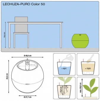 Lechuza Puro COLOR