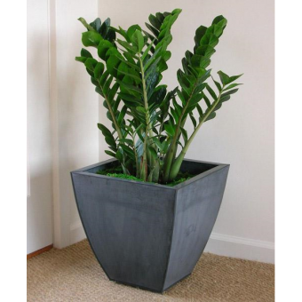 ������������ 90/21