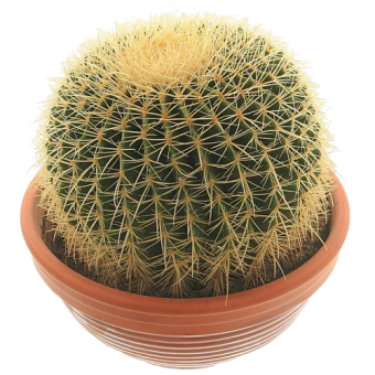 ������� 10/9 (prof)