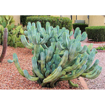 �������������� 10/6