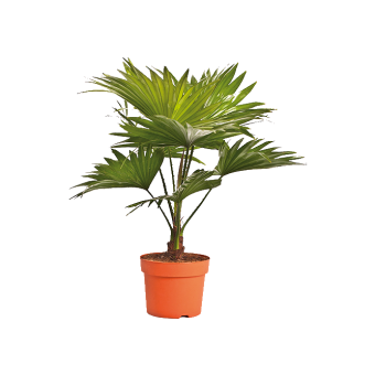 ��������� ������������ 70/17