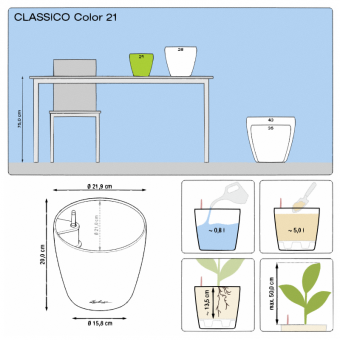 Lechuza Classico COLOR