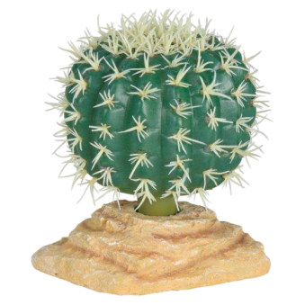 ������� 10/8