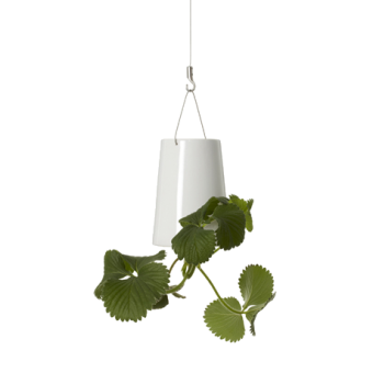 BOSKKE SKY PLANTER CERAMIC, MINI �����