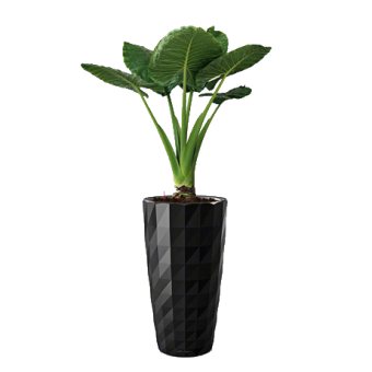 �������� �������� + ����� DIAMANTE 40