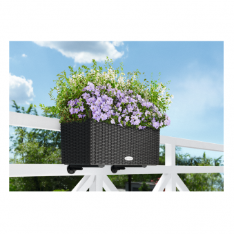 ��������� ��� Lechuza Balconera