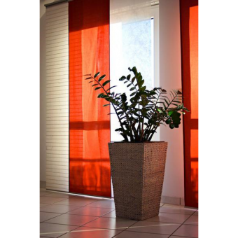 ������������ 80/17