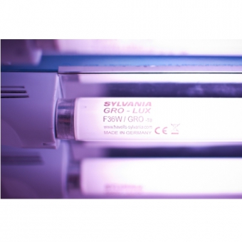 �������������� ��������� Sylvania Grolux T8