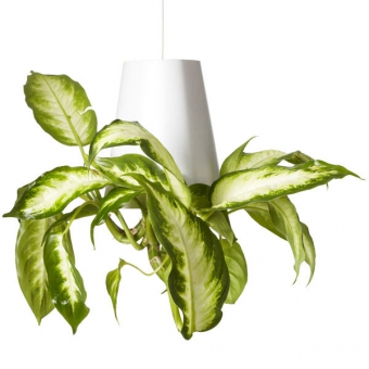 BOSKKE SKY PLANTER OUTDOOR, LARGE �����