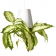 BOSKKE SKY PLANTER OUTDOOR, LARGE �����