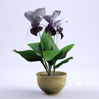 ����� 90/19 (prof)