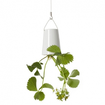 BOSKKE SKY PLANTER RECYCLED, SMALL  �����