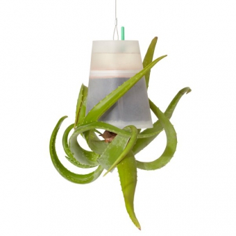 BOSKKE SKY PLANTER ����������, SMALL