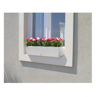 Lechuza Balconera COTTAGE