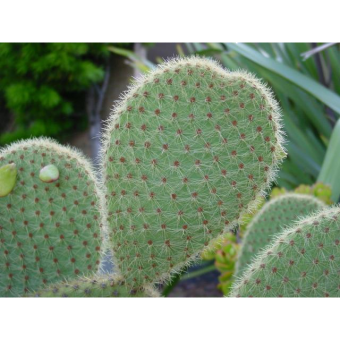 ������ ������� 12/5