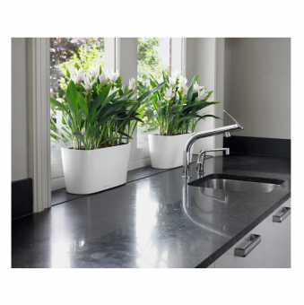 Lechuza Delta 10/20 PREMIUM
