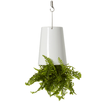 BOSKKE SKY PLANTER CERAMIC, SMALL  �����