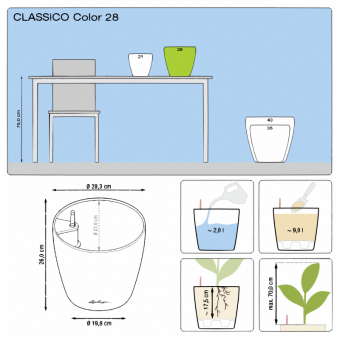 Lechuza Classico COLOR
